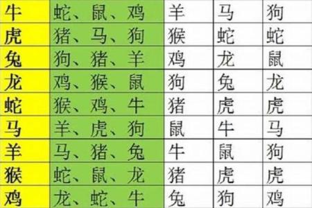 蛇跟什么生肖配对最好 生肖蛇最佳配对