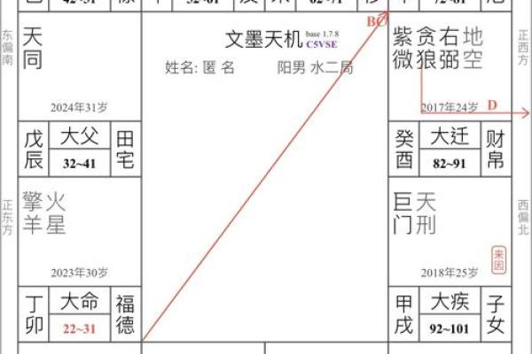 银行紫微斗数 紫微斗数经典格局？