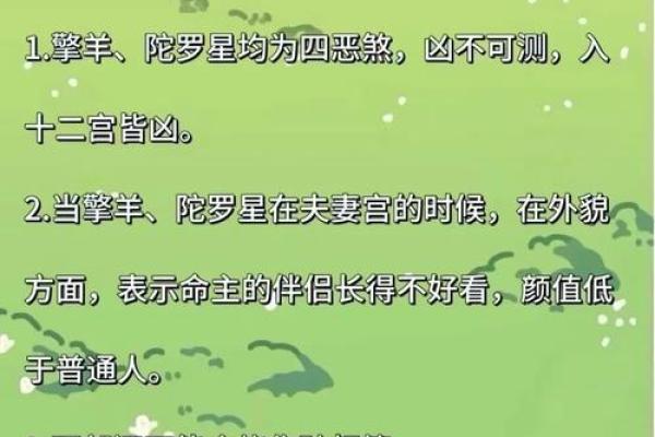 紫薇斗数与命理解释的简单介绍