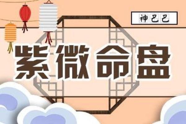 博士紫薇斗数