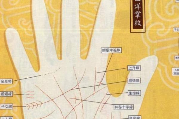 《手相学习百科》：手的形状