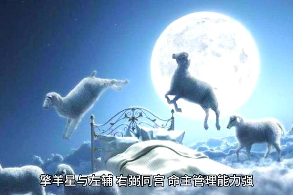 紫薇斗数疾恶擎羊