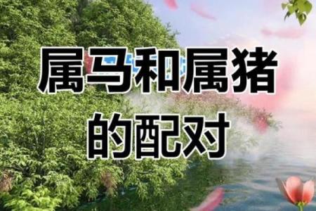 属狗巨蟹座男与属猪双鱼女配对合适吗
