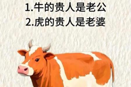 属马的女人和属牛的男人配吗 情感配对深度分析