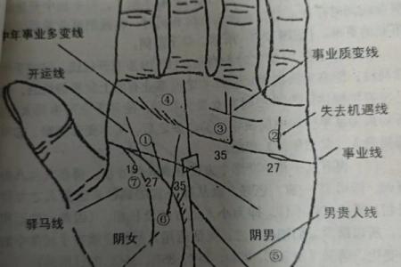 《手相学习百科》：掌纹介绍