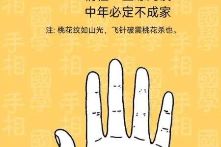 《手相学习百科》：手的形状