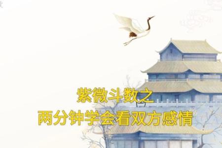 紫薇斗数看姻缘