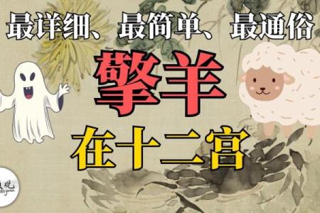 紫薇斗数疾恶擎羊