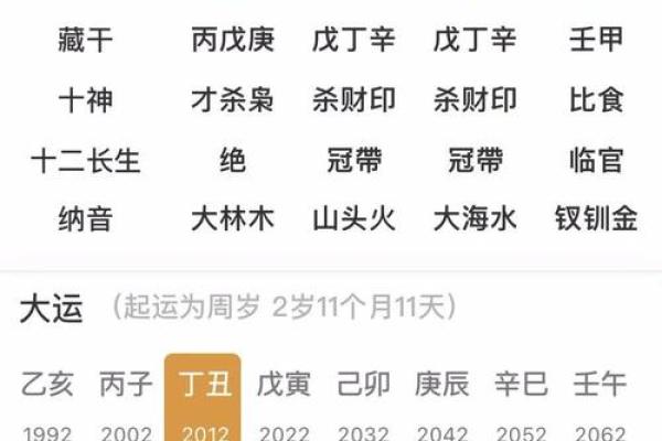 八字四柱乙亥好不好