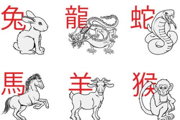 属鼠最有利的方位 属鼠最佳坐向是哪个