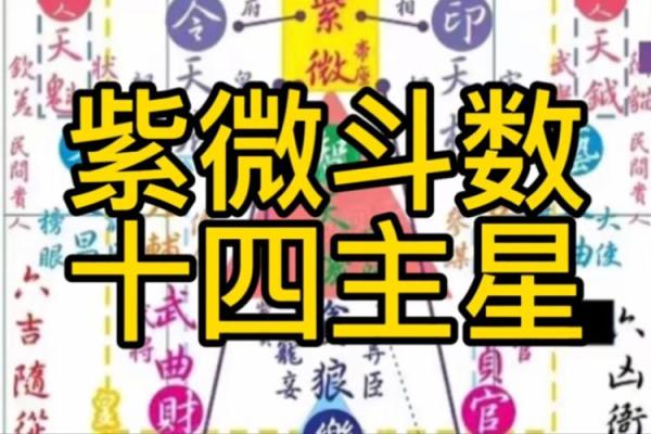 自紫薇斗数