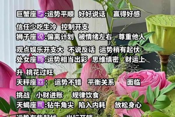 二零一八十二星座今日运势