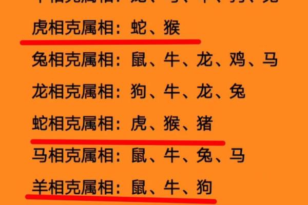 兔属相与什么属相最配 兔子跟什么生肖最配对和最好