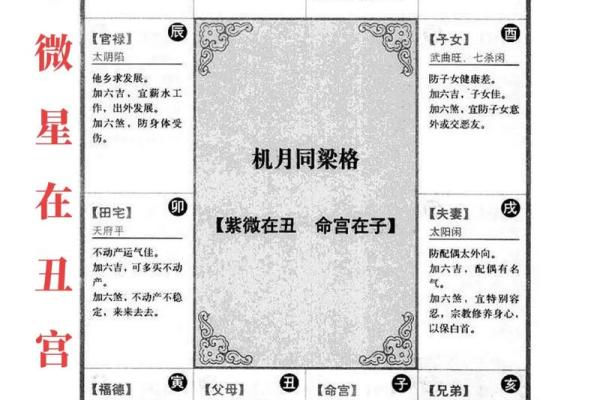 罗镇老师紫薇斗数