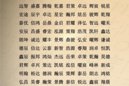八字免费起名字,起名网生辰八字取名字