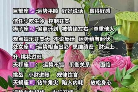 二零一八十二星座今日运势
