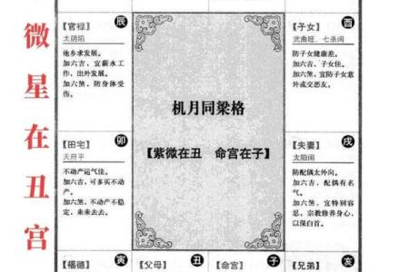 罗镇老师紫薇斗数