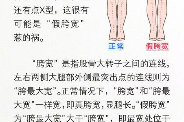 从人的腿部看相算命