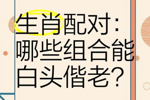 注定成为敌人的属相配对