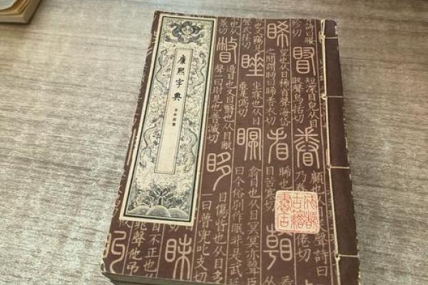 “精字典”：一本收录千万精彩含义的百科全书