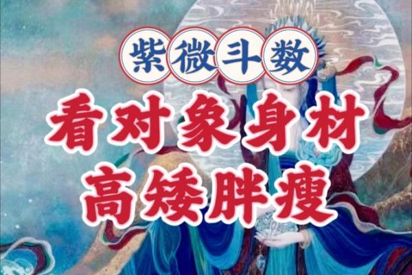 紫微斗数看老公：好男人类型，大男人类型，火爆浪子类型，不负责任类型，桃花多多类型