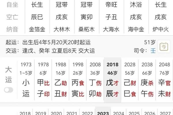 癸亥日柱男女命八字运程
