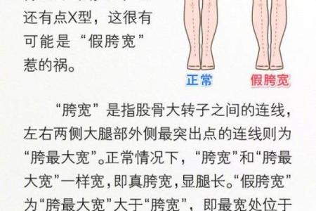 从人的腿部看相算命