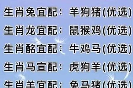 1988年属相是什么生肖配对