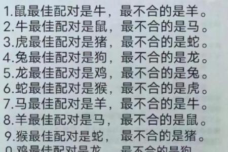 注定成为敌人的属相配对