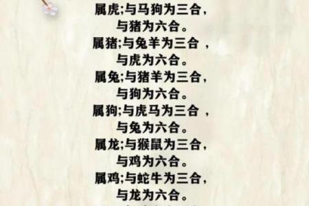 鼠属十二生肖之首黄金配对无人敌