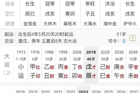 癸亥日柱男女命八字运程