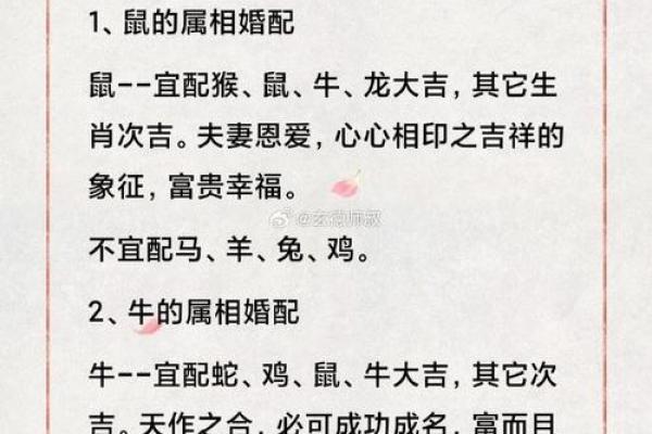 十二肖和十二生肖配对,十二生肖最佳婚配表是怎样的？