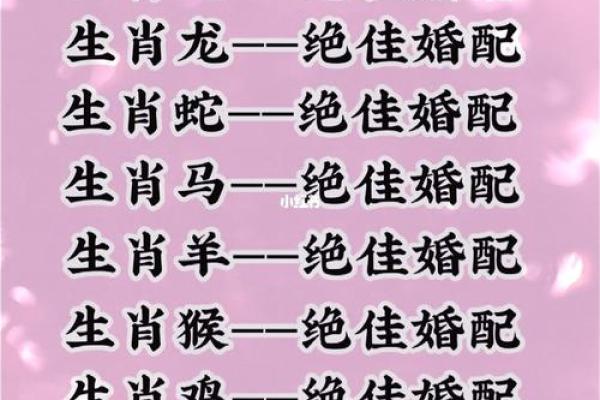 十二肖和十二生肖配对,十二生肖最佳婚配表是怎样的？