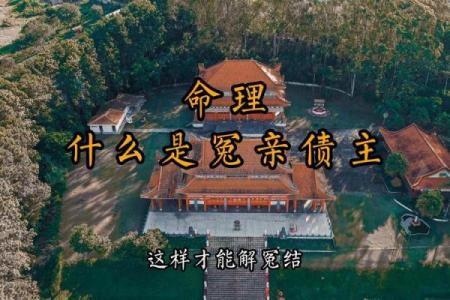 紫薇斗数冤亲债主