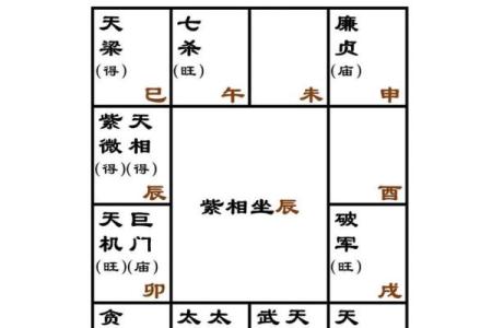 紫微斗数：天机星
