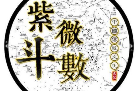 紫薇斗数宫主