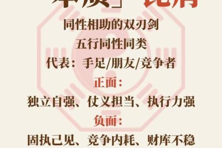 八字比肩多