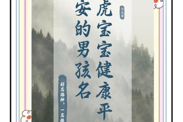 晚上1点出生的属虎男孩如何起名，用什么字姓名