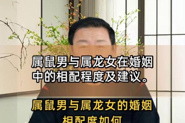 属鼠人招姻缘 属鼠姻缘在哪个方位？