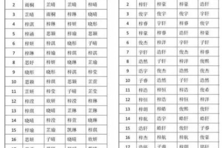 2019年3月28号亥时出生的男孩如何起名姓名