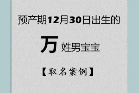 属鸡申时出生的男孩该如何起名，宜用什么字姓名