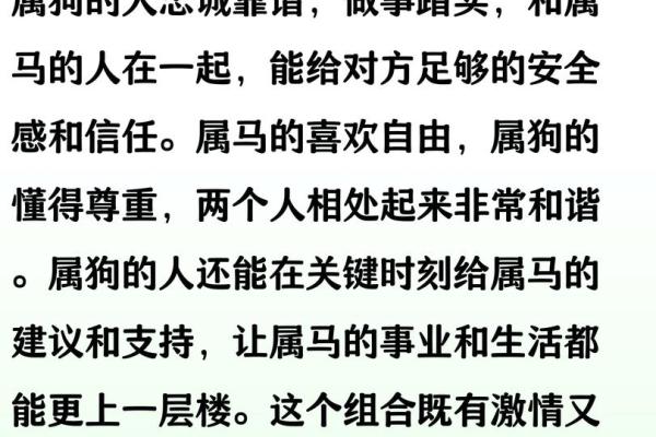 生肖马的姻缘配对，哪些生肖最合适？