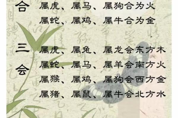 生肖马的姻缘配对，哪些生肖最合适？