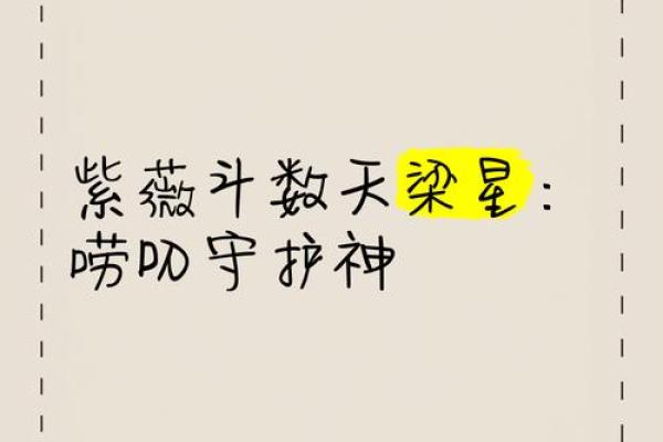 天粱紫薇斗数