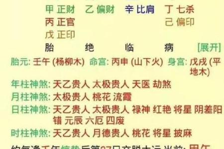八字癸巳什么意思