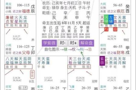 紫微斗数术语解释之：吉星