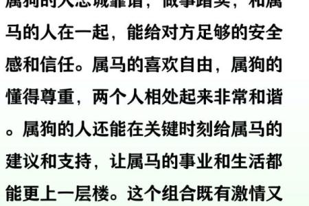 生肖马的姻缘配对，哪些生肖最合适？