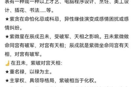紫微斗数置闰 紫微斗数术语？