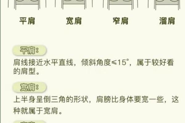 肩膀算命大全