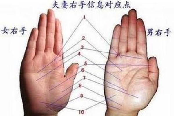 肩膀算命大全